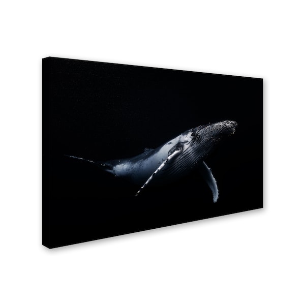 Barathieu Gabriel 'Black & Whale' Canvas Art,30x47